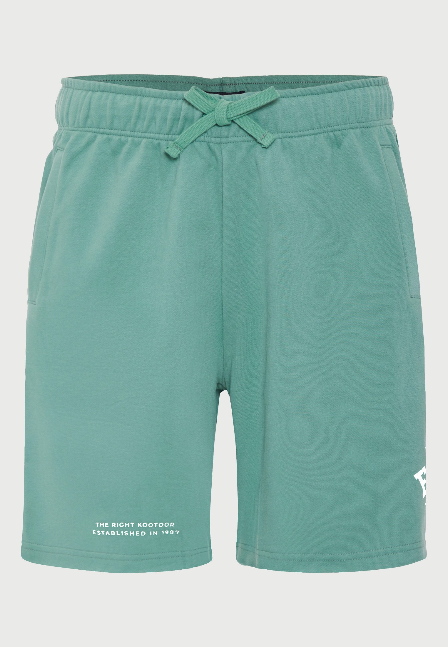 Men's Shorts Funky Buddha Green