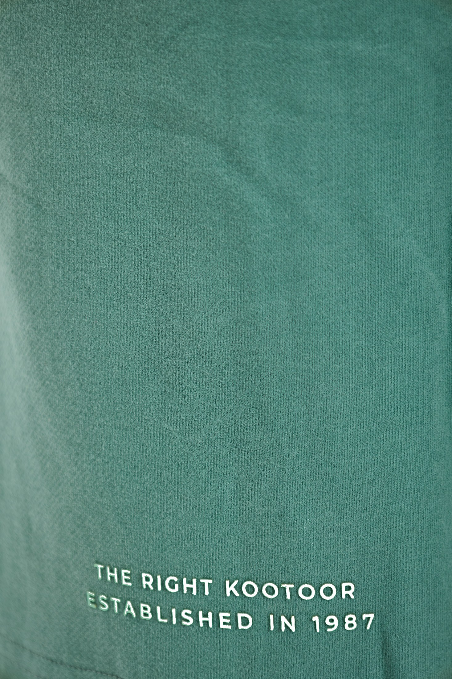 Men's Shorts Funky Buddha Green