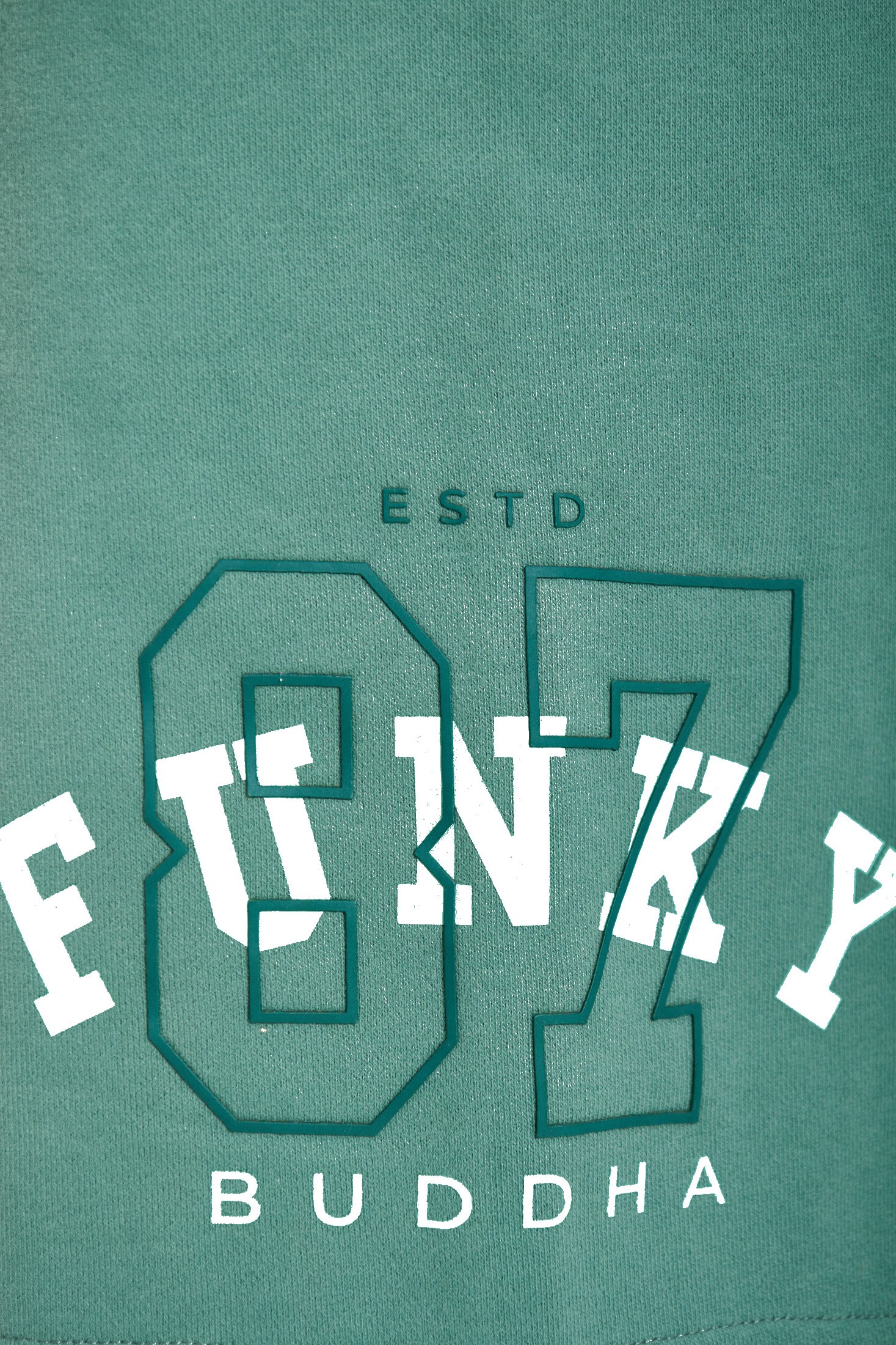 Men's Shorts Funky Buddha Green