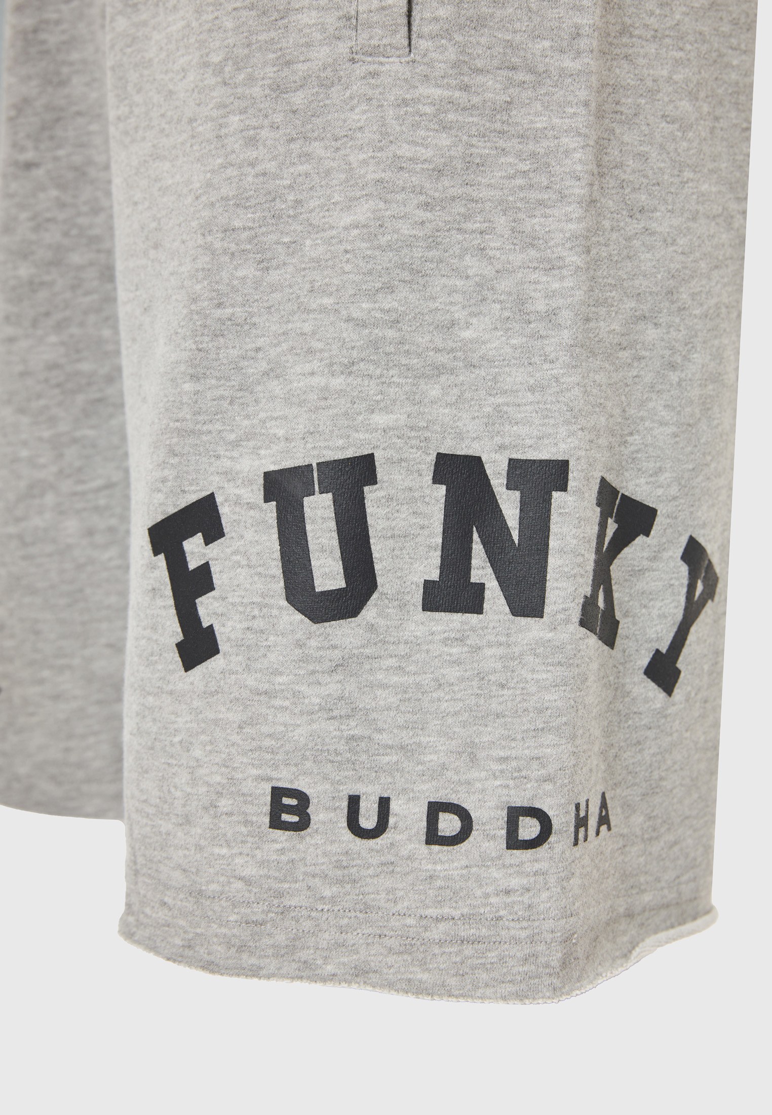 Men's Shorts Funky Buddha Gray