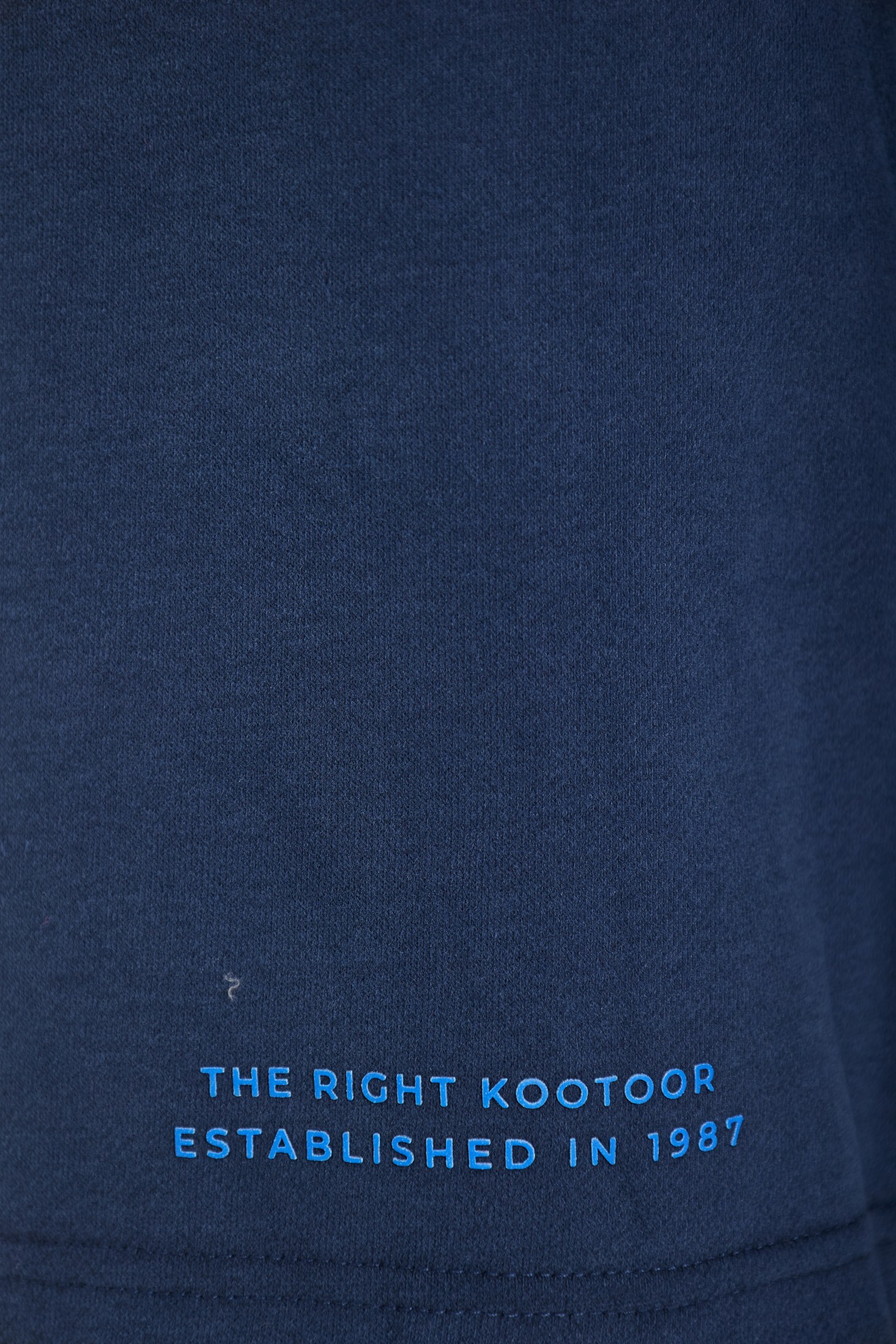 Men's Shorts Funky Buddha Blue