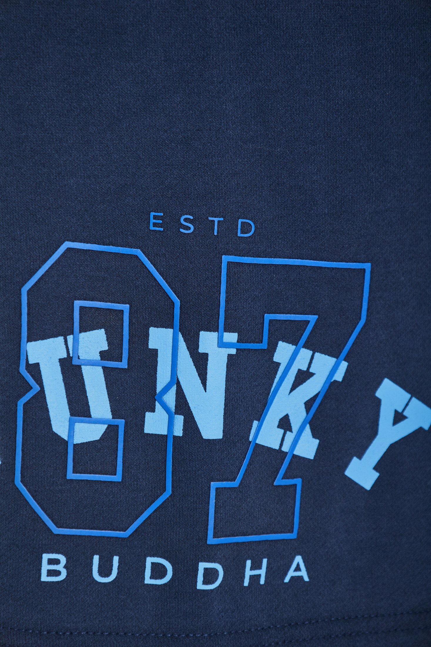 Men's Shorts Funky Buddha Blue