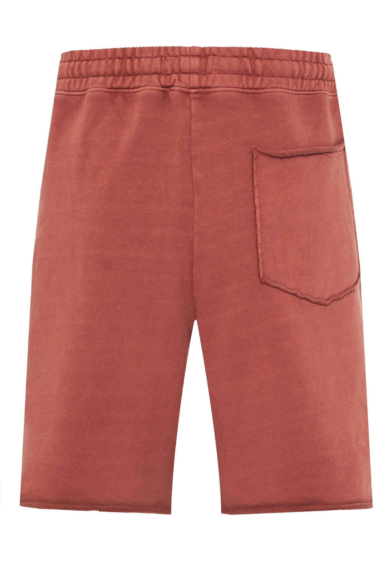 Men's Shorts Funky Buddha Brown