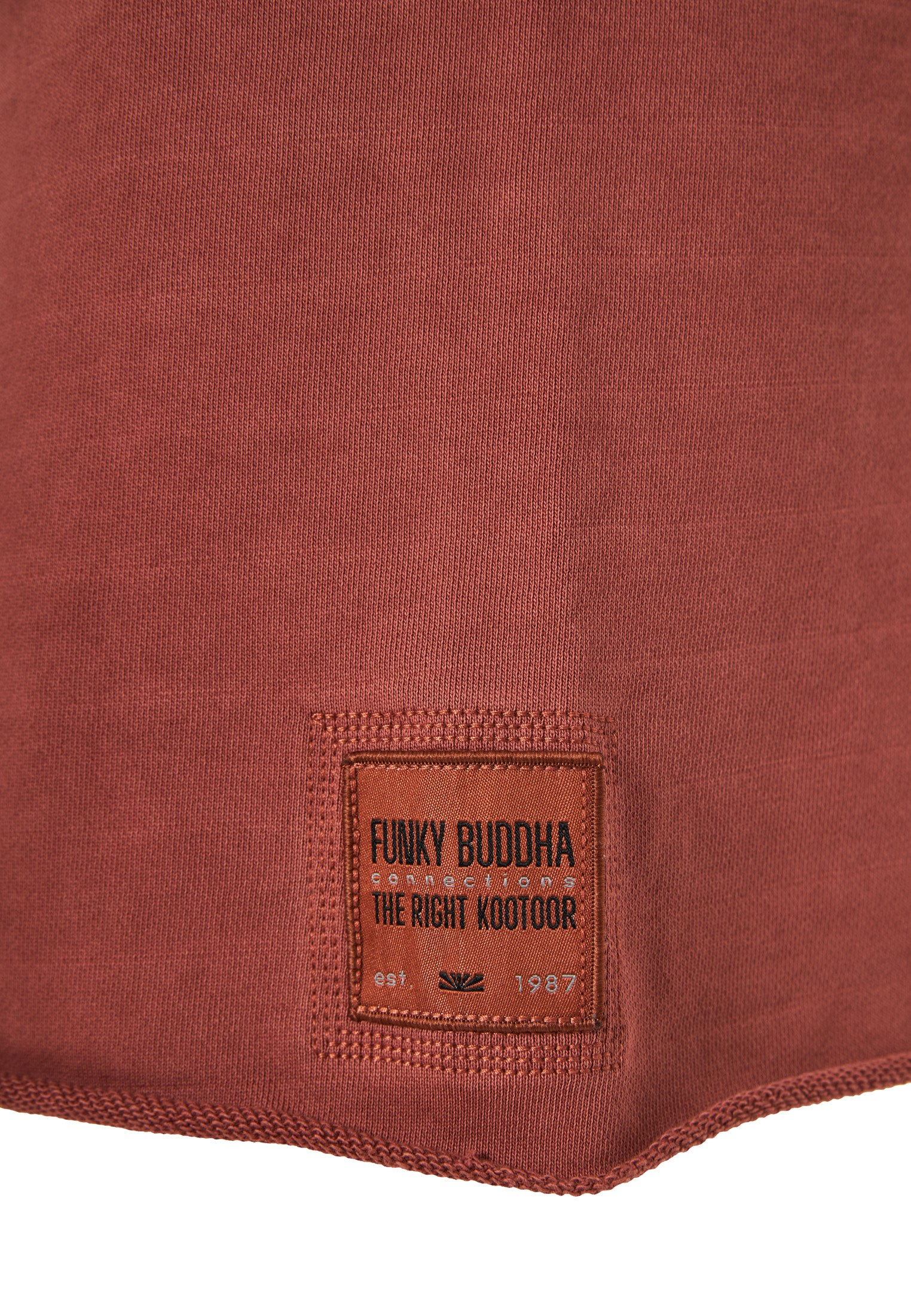 Men's Shorts Funky Buddha Brown