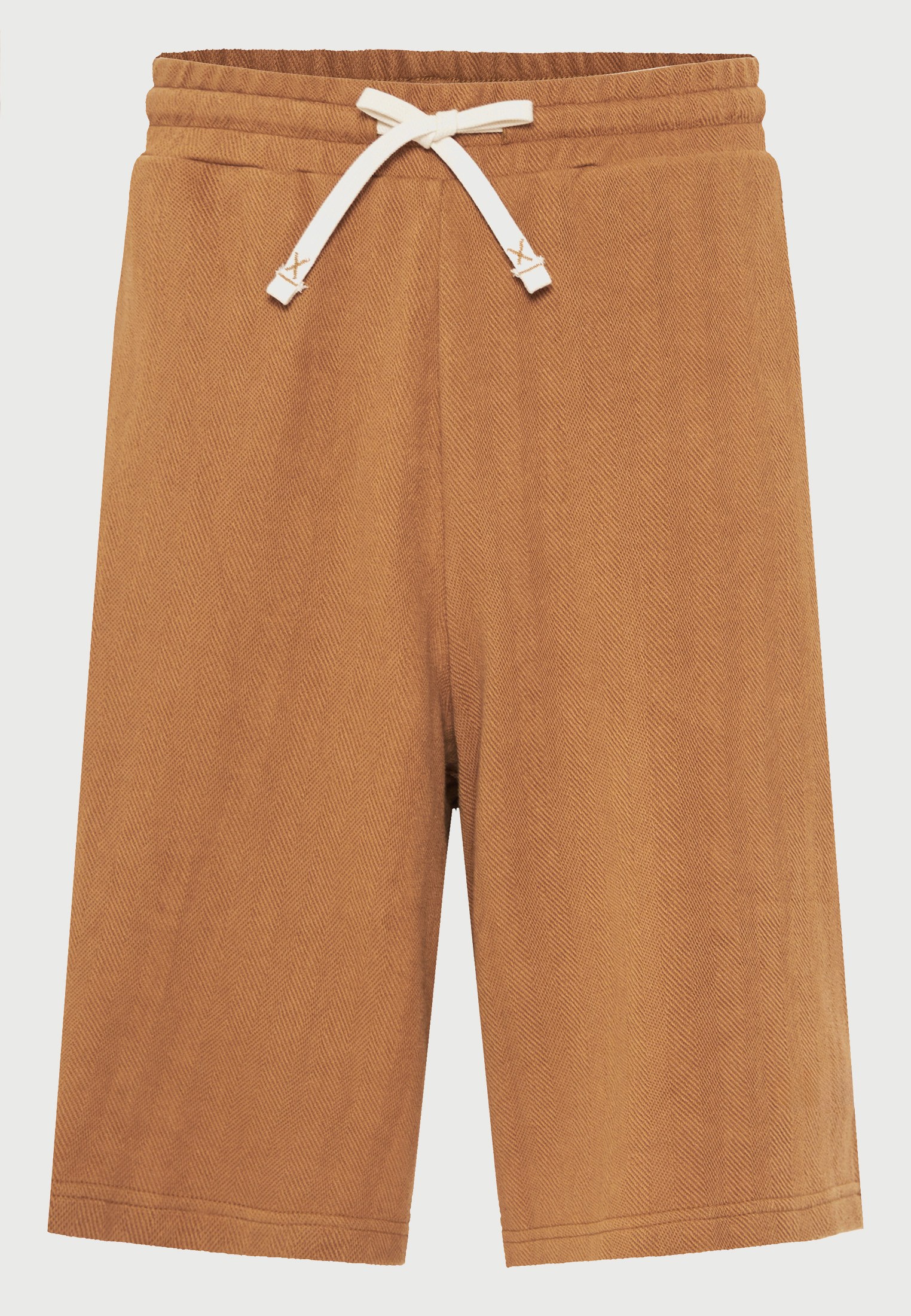 Men's Shorts Funky Buddha Brown