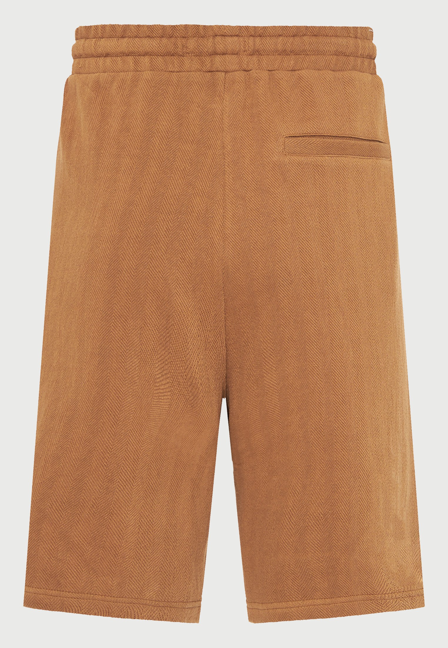 Men's Shorts Funky Buddha Brown