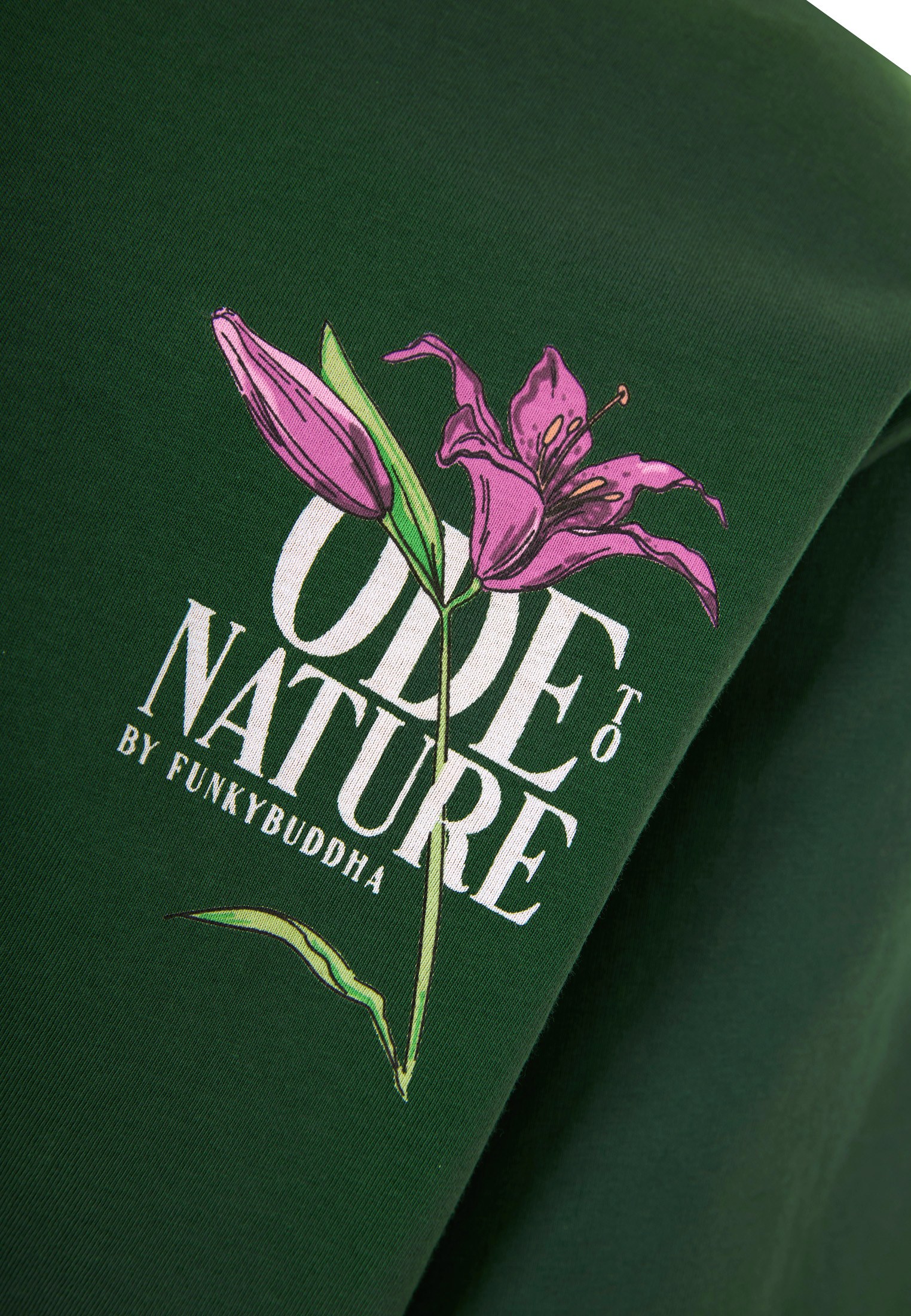 Men's Shirts Funky Buddha Green