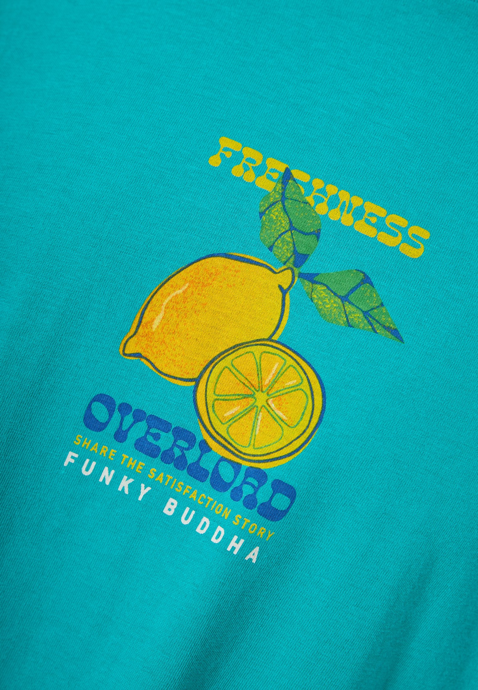 Men's Shirts Funky Buddha Green