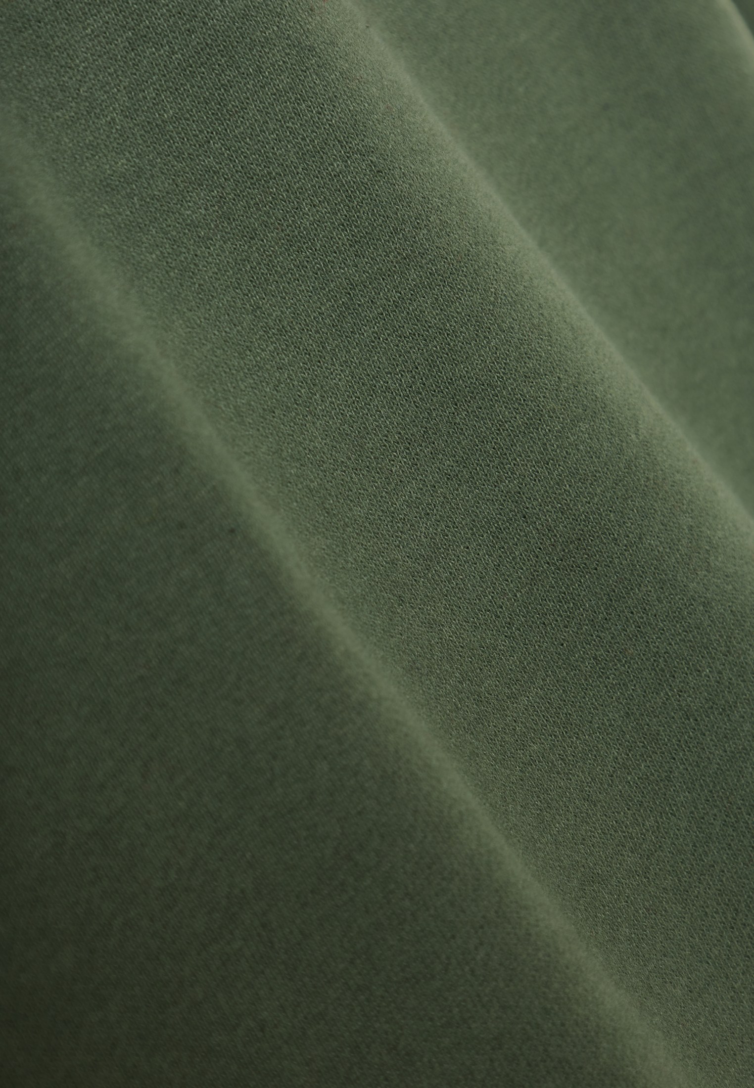 Men's Hoodies & Sweatshirts Funky Buddha Green