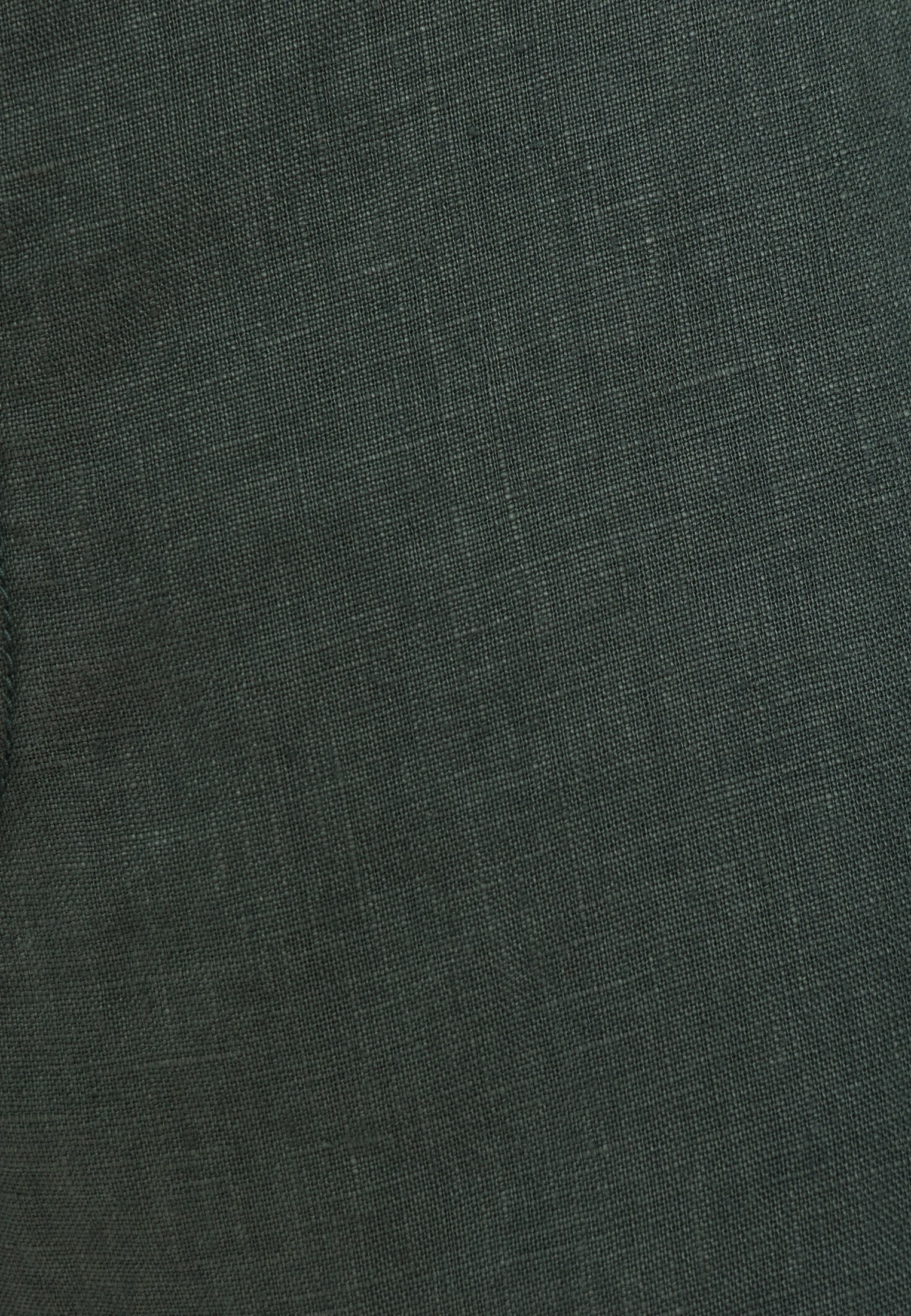 Men's Trousers Funky Buddha Green