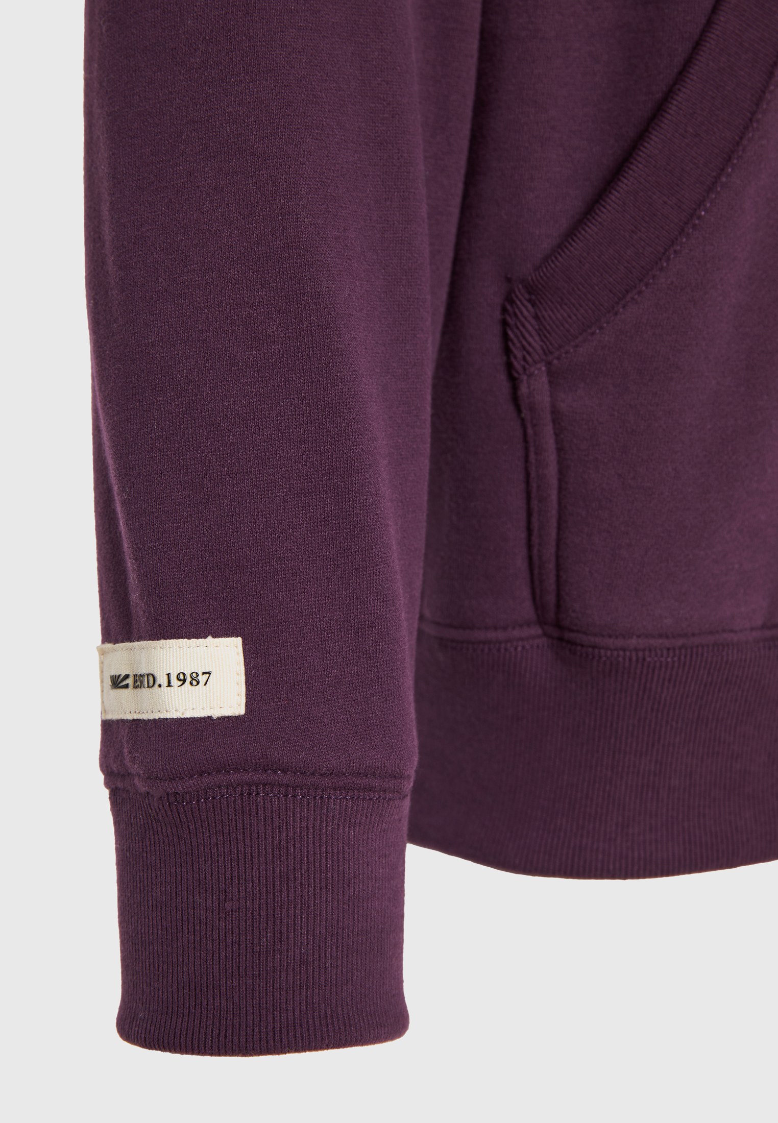 Men's Hoodies & Sweatshirts Funky Buddha Purple