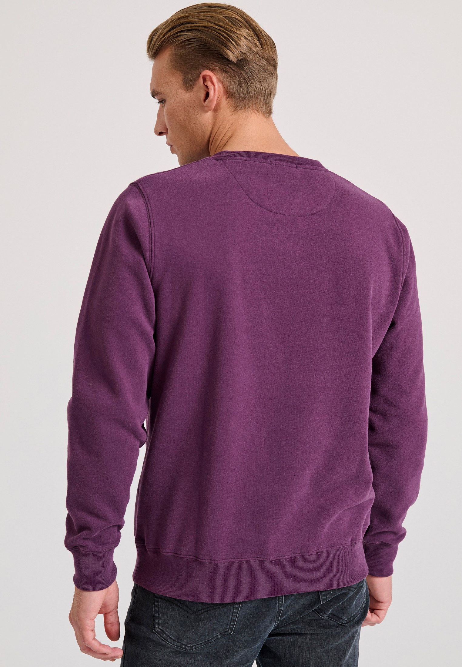 Men's Hoodies & Sweatshirts Funky Buddha Purple