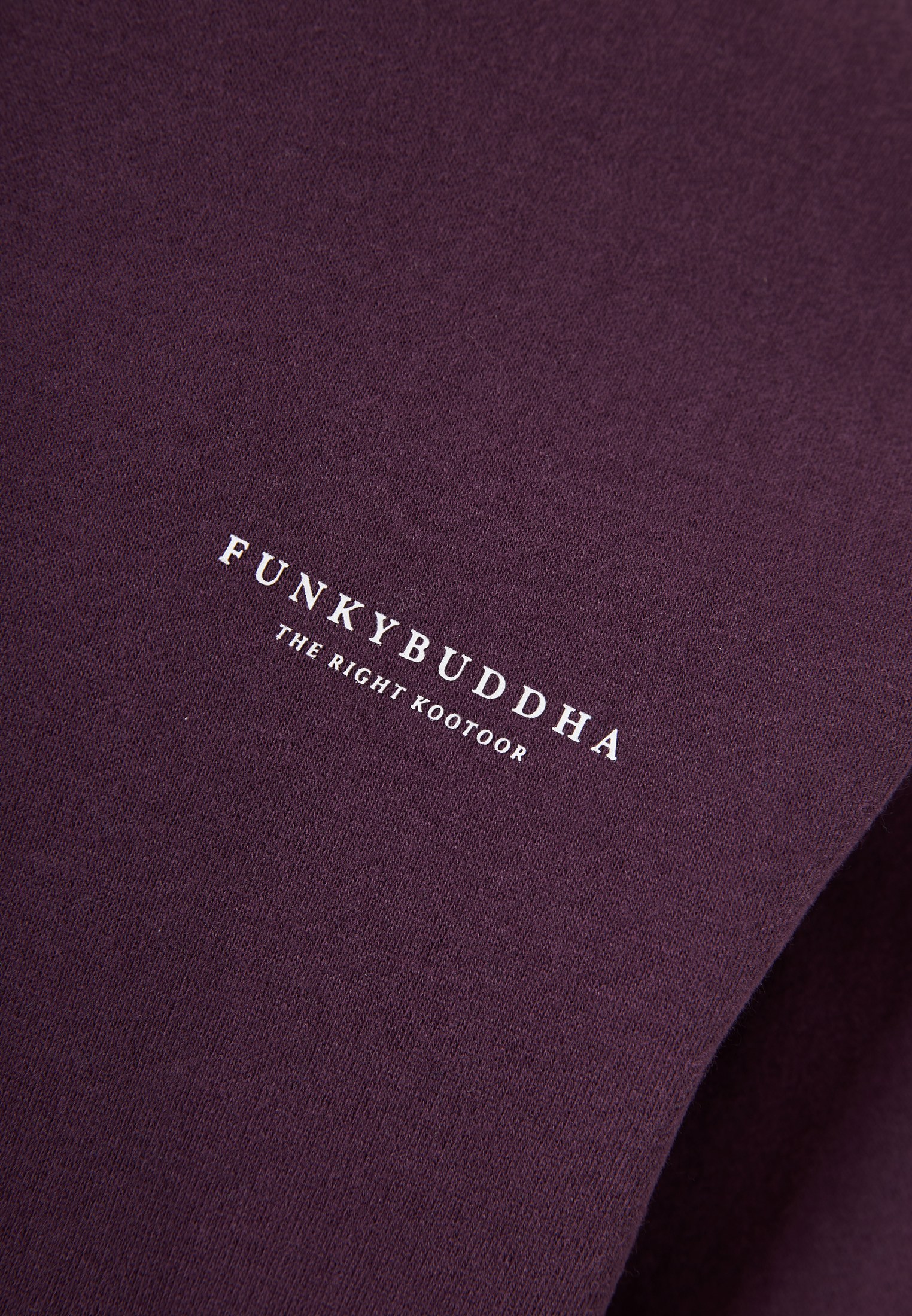 Men's Hoodies & Sweatshirts Funky Buddha Purple
