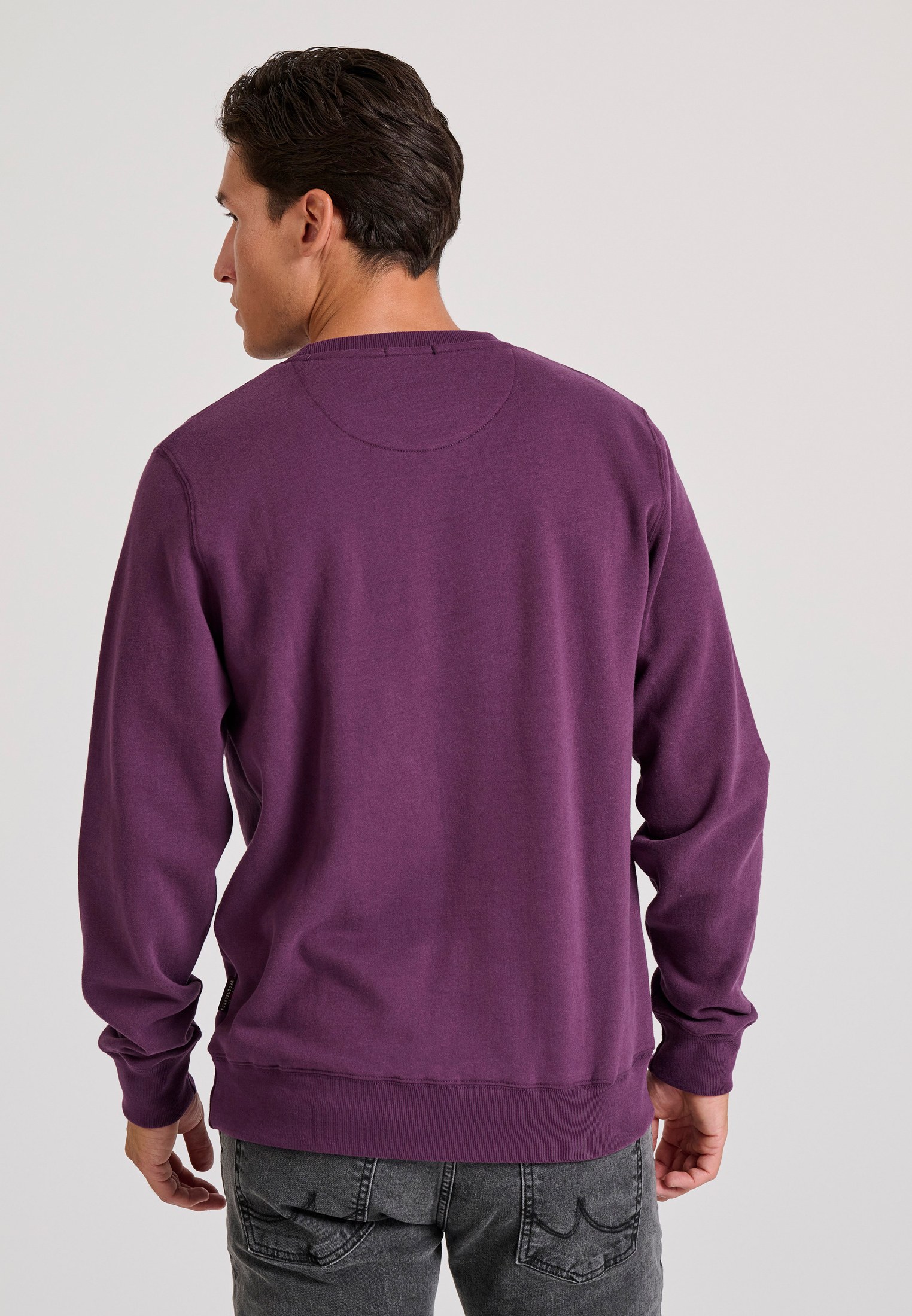 Men's Hoodies & Sweatshirts Funky Buddha Purple