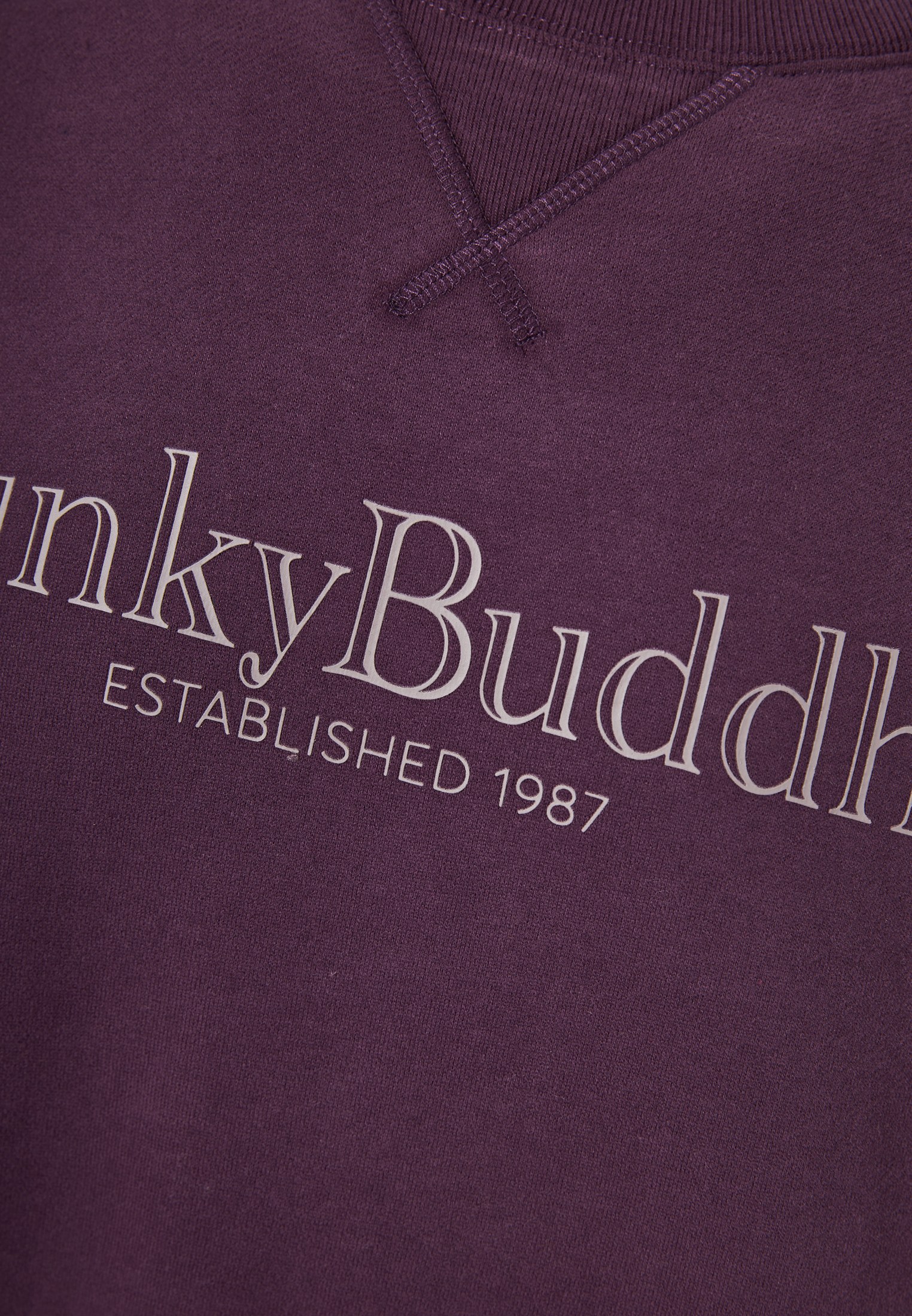 Men's Hoodies & Sweatshirts Funky Buddha Purple