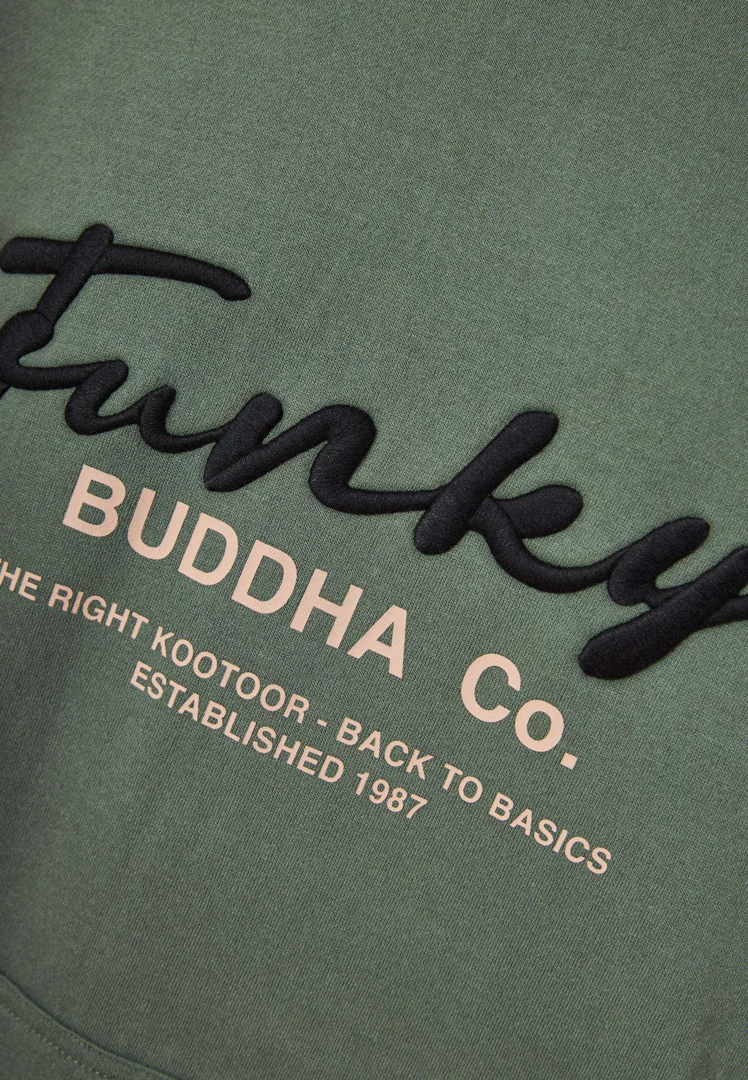Men's Hoodies & Sweatshirts Funky Buddha Green
