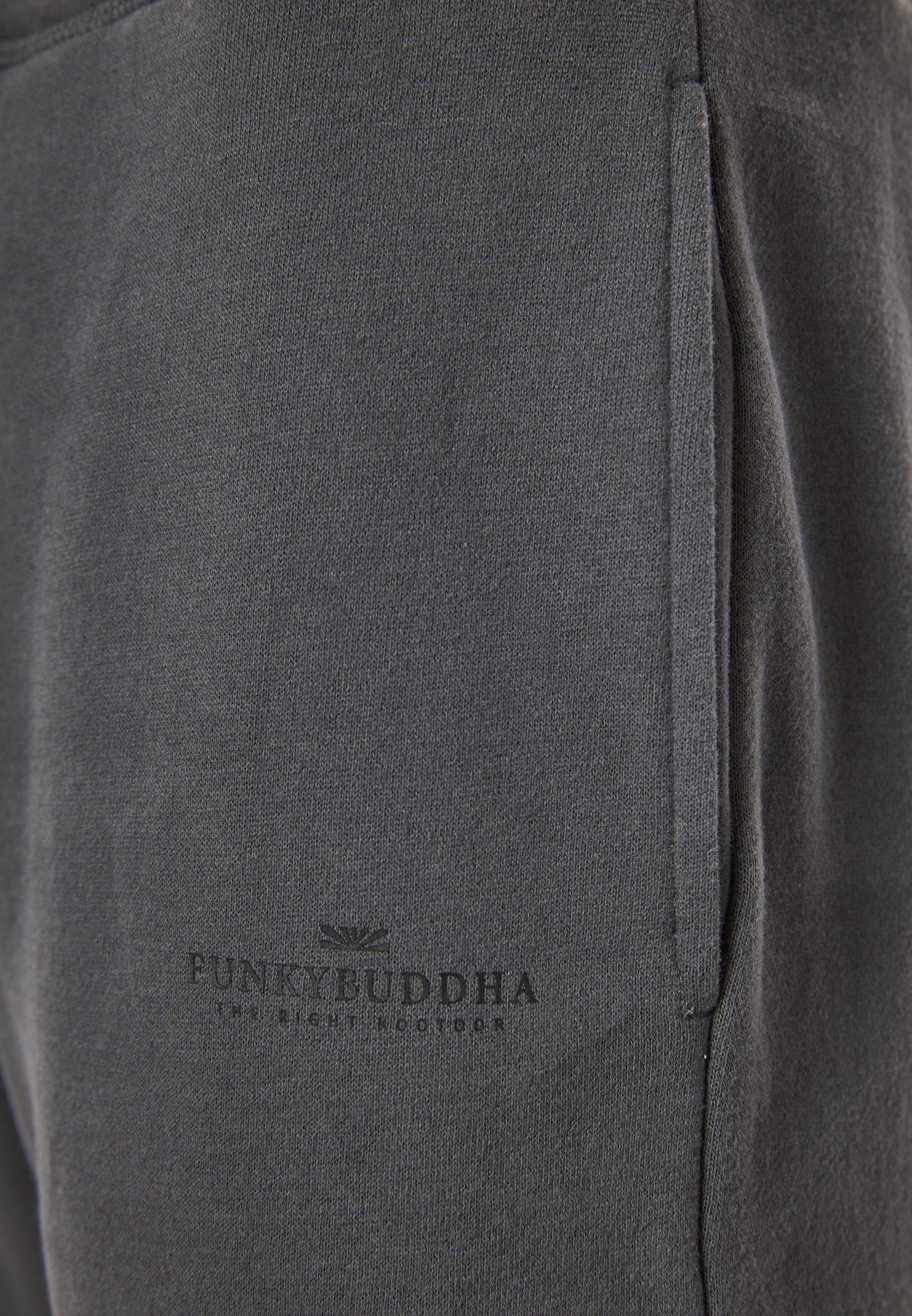 Men's Trousers Funky Buddha Gray