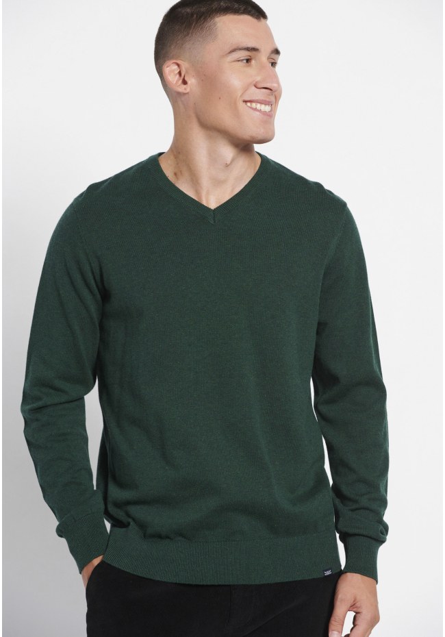 Essential V-neck sweater
