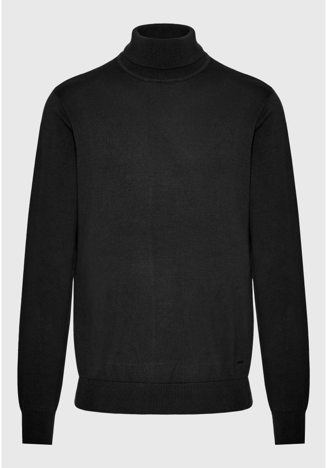 Essential men's turtle neck sweater
