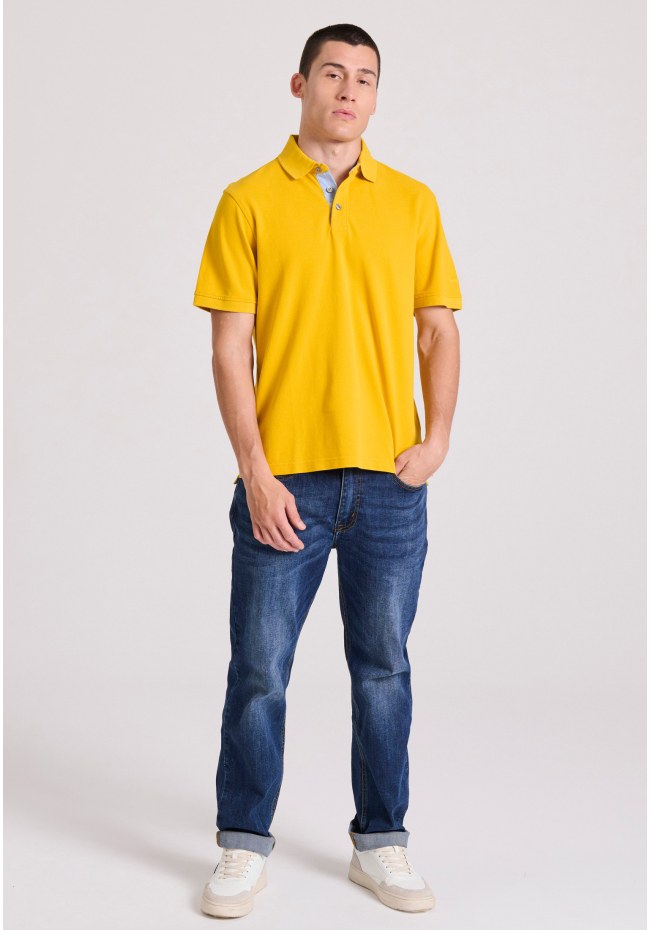 Polo shirt with embroidery on the sleeve