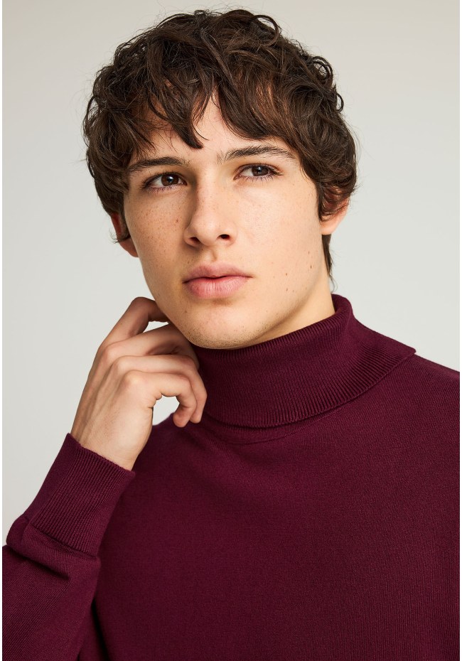 Men's knitted turtleneck sweater