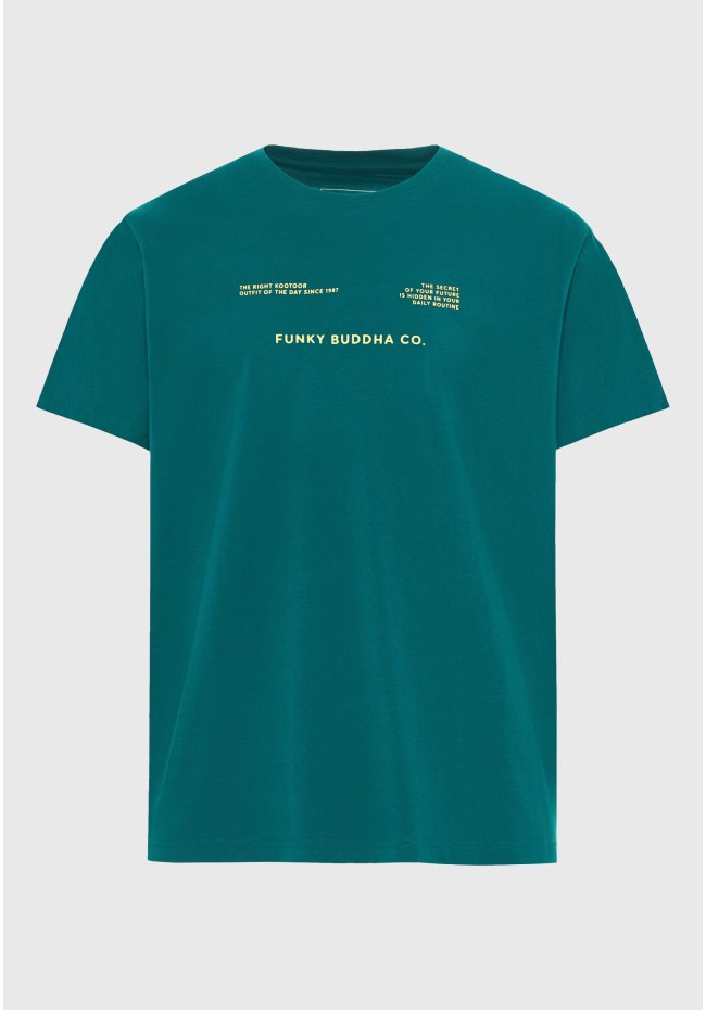 Men's cotton t-shirt with print