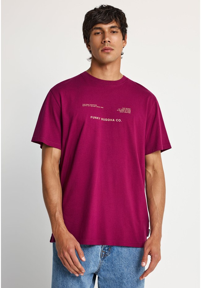 Men's cotton t-shirt with print