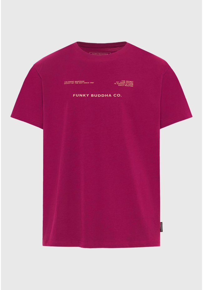 Men's cotton t-shirt with print