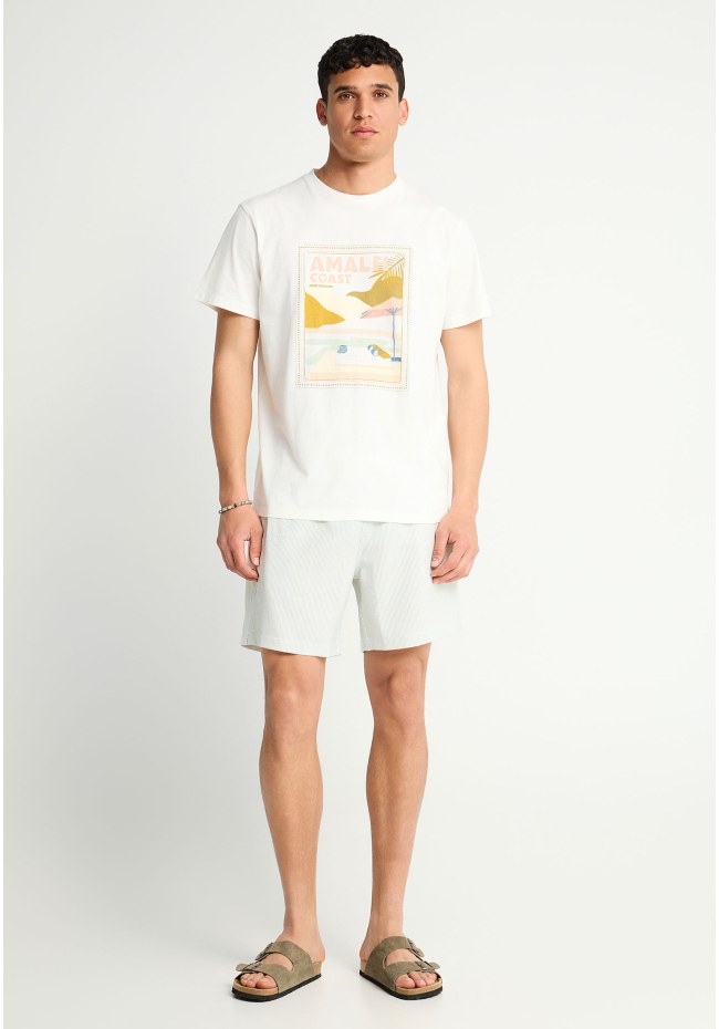 Ανδρικό t-shirt με τύπωμα
