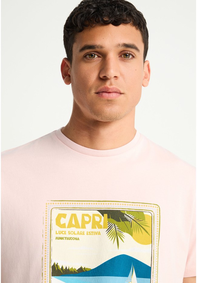 Men's cotton t-shirt with print