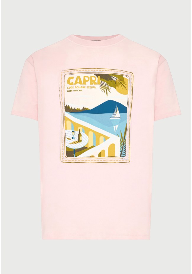 Men's cotton t-shirt with print