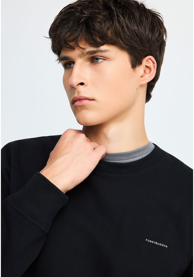 Men's sweatshirt 