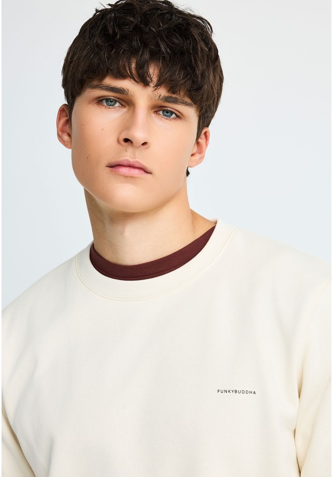 Men's sweatshirt 
