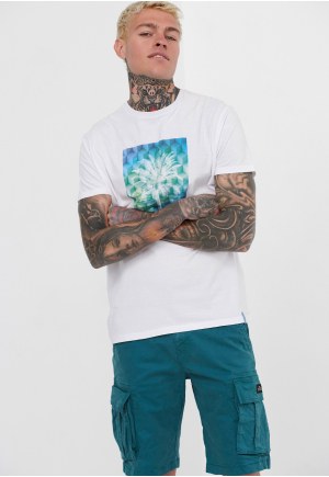 Crew neck printed t-shirt
