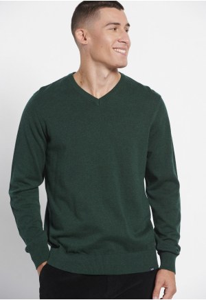 Essential V-neck sweater