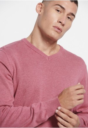 Essential V-neck sweater