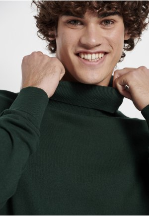Essential men's turtle neck sweater