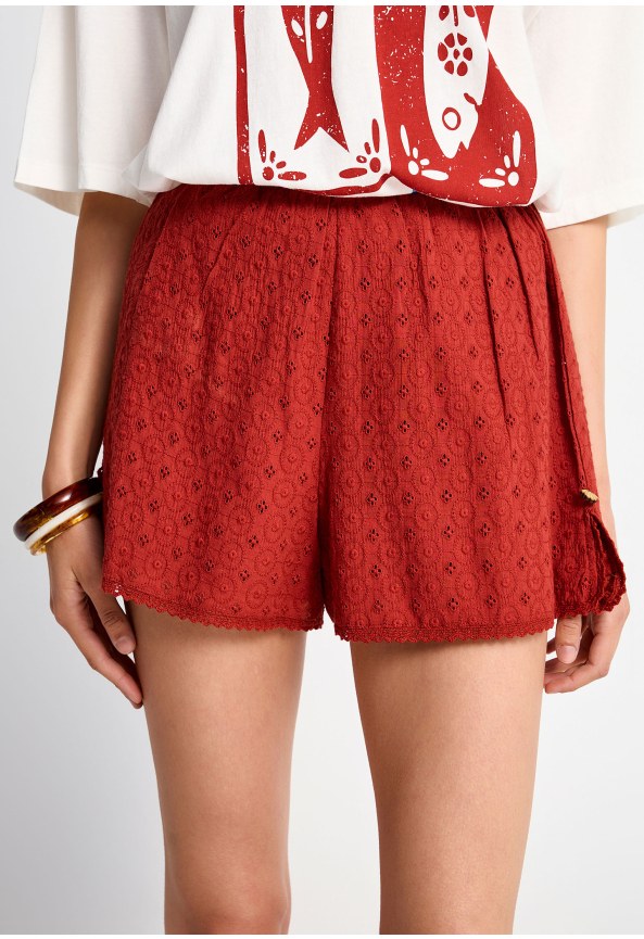 Women's embroidery shorts