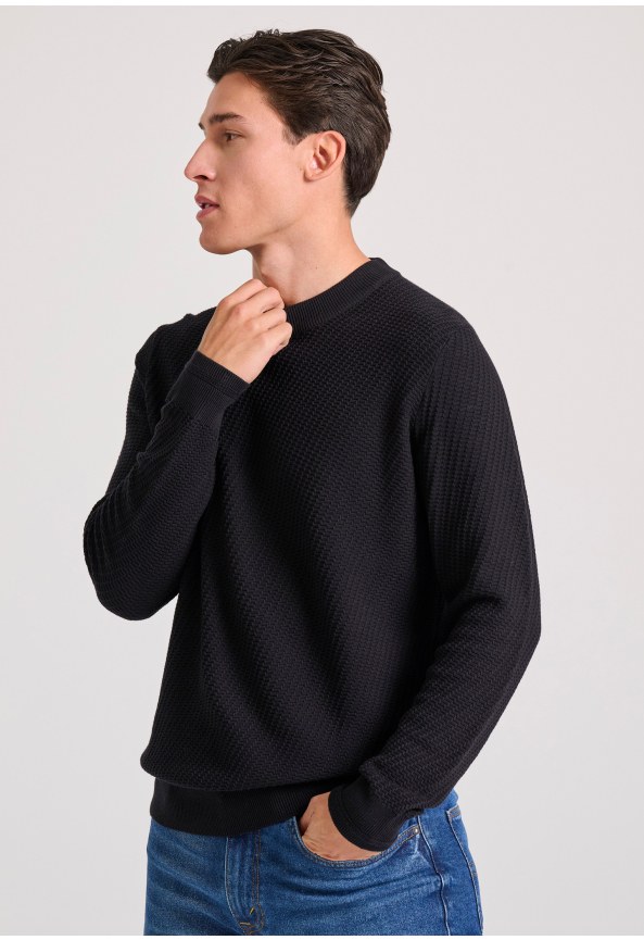 Ανδρικό πουλόβερ με ανάγλυφη υφή