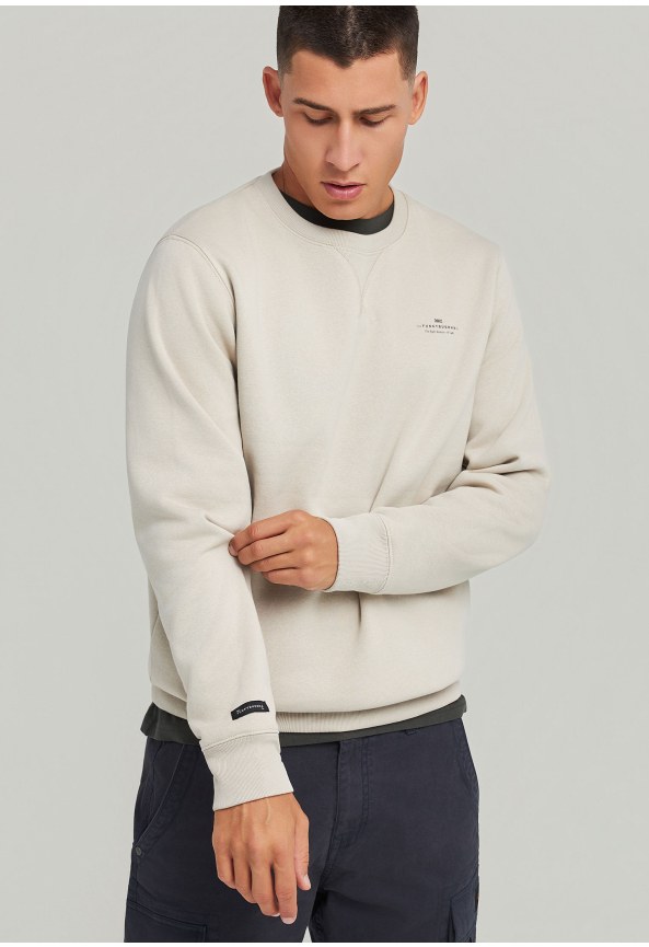 Ανδρικό φούτερ με τυπωμένο logo - The essentials