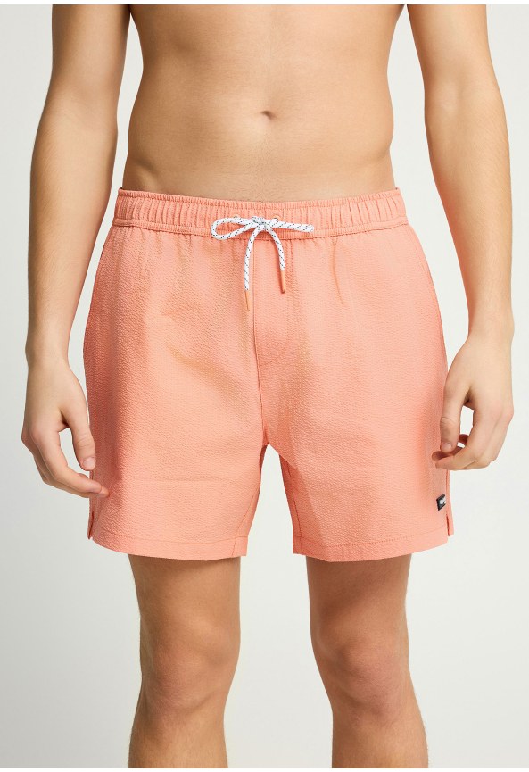 Ανδρικό μαγιό