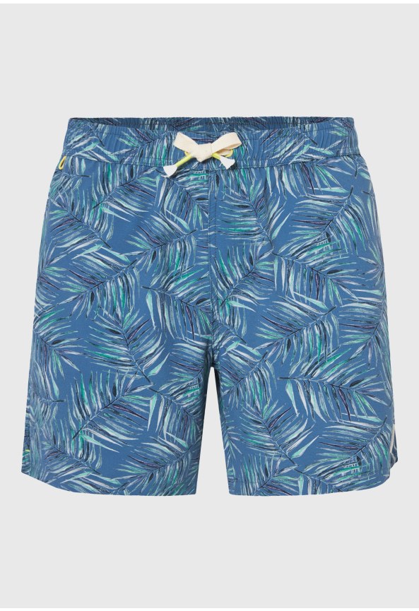 Ανδρικό μαγιό