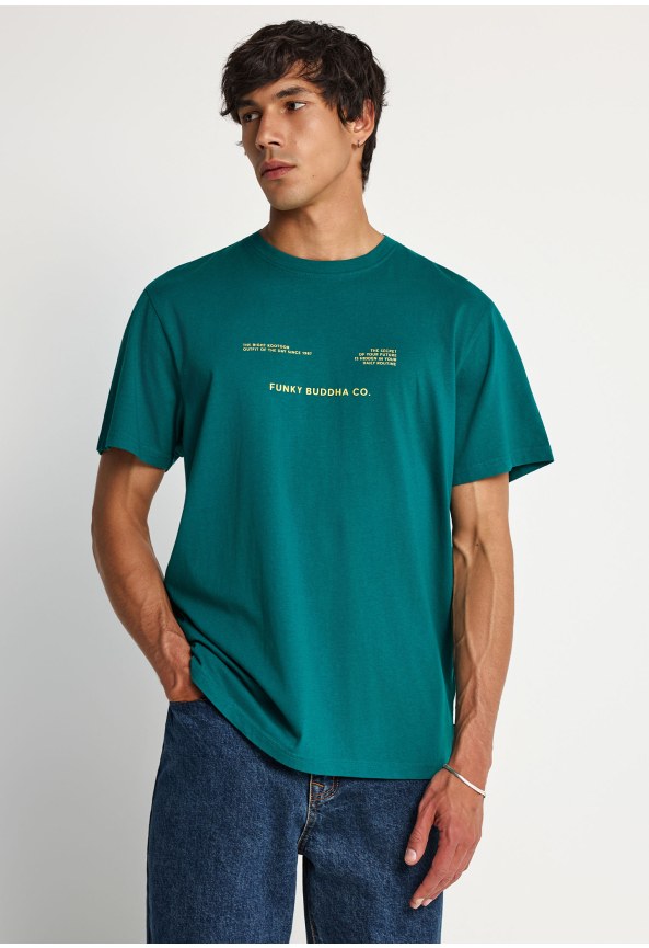 Men's cotton t-shirt with print