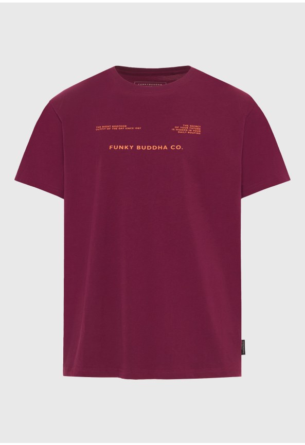 Ανδρικό βαμβακερό t-shirt με τύπωμα