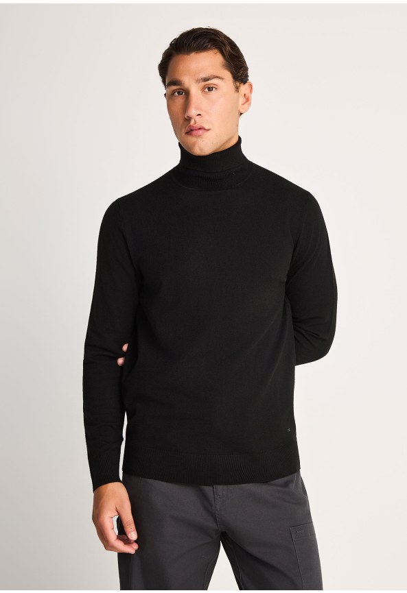 Men's solid turtleneck sweater