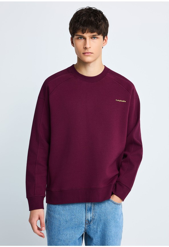 Men's raglan sleeve sweatshirt