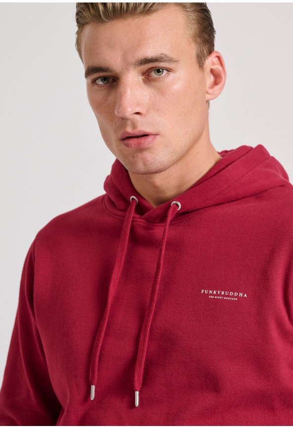 Ανδρικό φούτερ με κουκούλα - The essentials