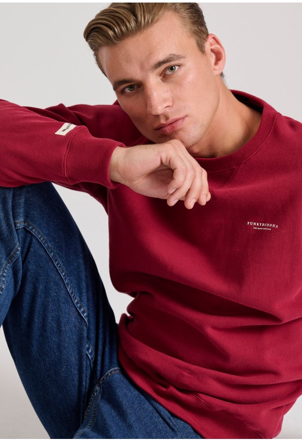 Ανδρικό φούτερ με τυπωμένο logo - The essentials