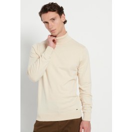 Essential men's turtle neck sweater