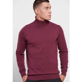 Essential men's turtle neck sweater